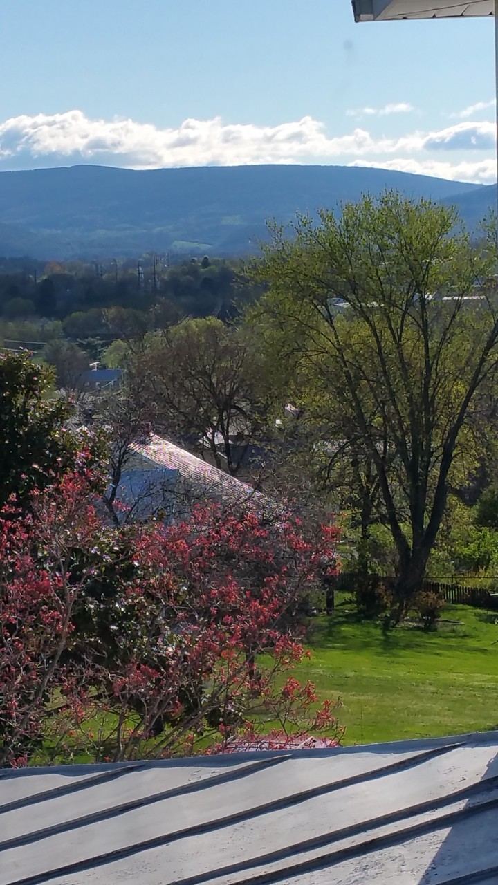 Luray Room at Mayneview